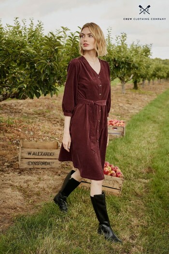 Crew Clothing Company Berry Red  Cotton  A-Line Dress (922320) | £79