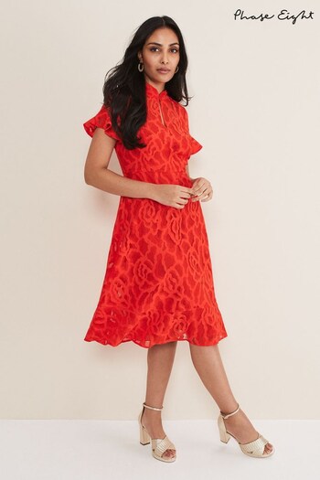 Phase Eight Petite Red Lulu Lace Dress (930128) | £159