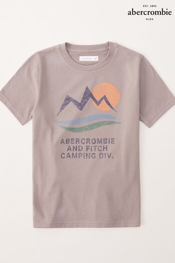 Abercrombie & Fitch Graphic Brown T-Shirt (930198) | £15
