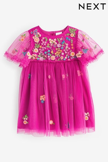 Bright Pink Embroidered Mesh Party Dress (3mths-7yrs) (935025) | £20 - £24