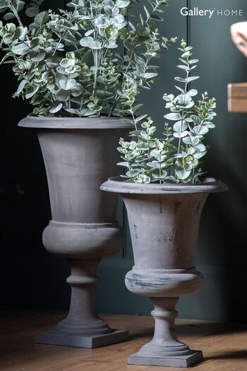 Gallery Home White Potted Eucalyptus H680mm (935449) | £28