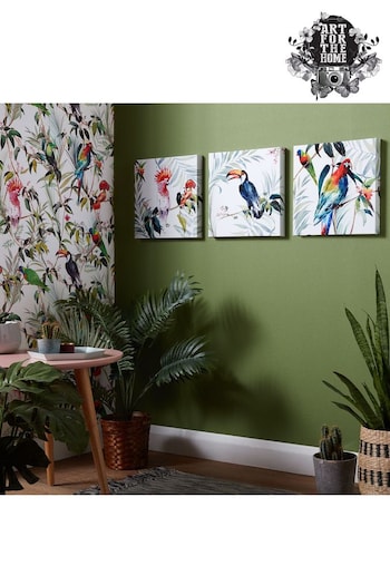 Art For The Home Set of 3 White Tropical Amazon Birds Canvases (938127) | £32