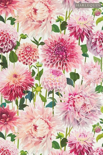 Harlequin Pink Dahlia Wallpaper (950047) | £89