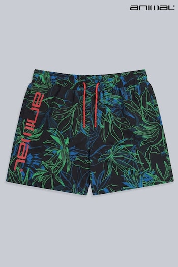 Animal Kids Blue Jed Recycled Printed Board Shorts (968676) | £25