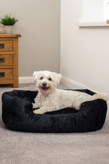 Bunty Black Bellagio Crushed Velvet Dog Bed (978892) | £30 - £45