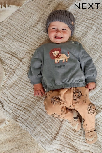 Charcoal Grey/Rust Brown Lion Cosy Baby Sweatshirt And Joggers 2 Piece Set (993565) | £13 - £15