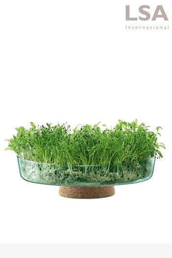 LSA International Clear Canopy Recycled 28cm Planting Bowl Planter (A01732) | £75