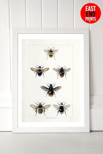 East End Prints White British Bee Print (A05984) | £47 - £132