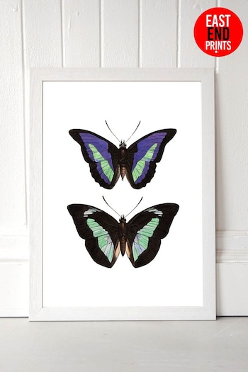 East End Prints White Purple Butterfly Print (A06002) | £47 - £132