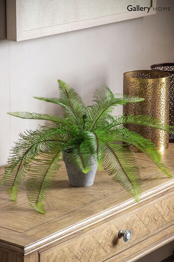 Gallery Home Green Artificial Feather Fern In Pot (A06816) | £23