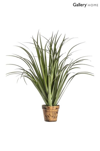 Gallery Home Green Artificial Large Dracaena In Pot (A06820) | £71