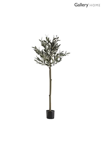 Gallery Home Green Artificial Medium Olive Tree In Pot (A06832) | £63