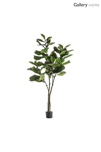 Gallery Home Green Artificial Fiddle Tree In Pot (A06838) | £75