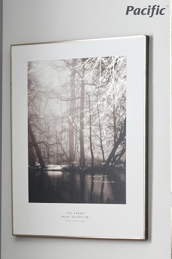 Pacific Black Mono Tree Print With Black Frame (A06861) | £70