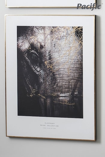 Pacific Black Mono Elephant Print With Black Frame (A06868) | £70