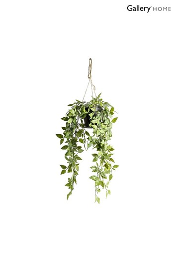 Gallery Home Green Artificial Small Scindapsus Hanging Plant (A07164) | £15