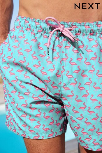 Blue/Pink Flamingo Geo Printed Swim Stacked Shorts (A24093) | £18