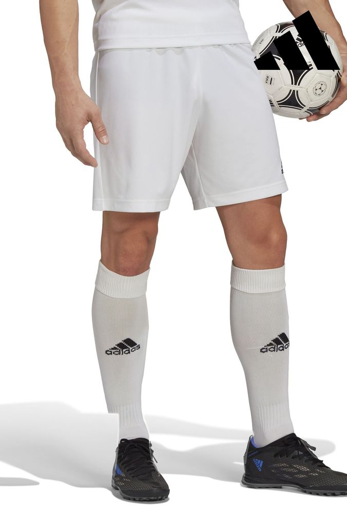 Buy Men s White Jersey Shorts Online Next UK
