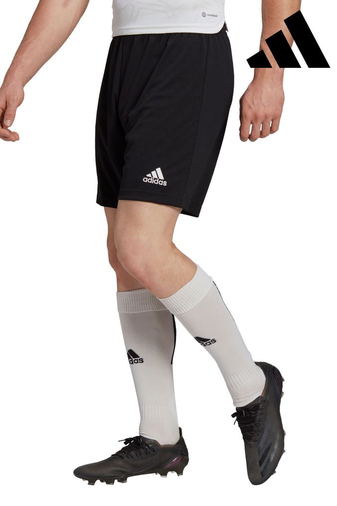 Mens adidas Shorts adidas Swim Gym Shorts For Men Next UK