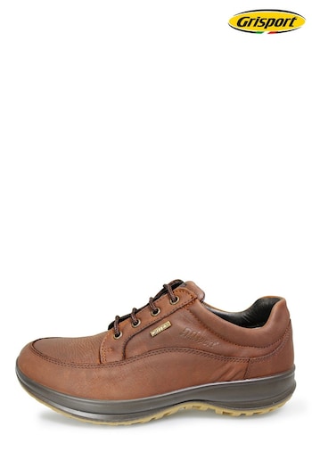 Grisport Brown Livingston Active Shoes responsive (A31550) | £99