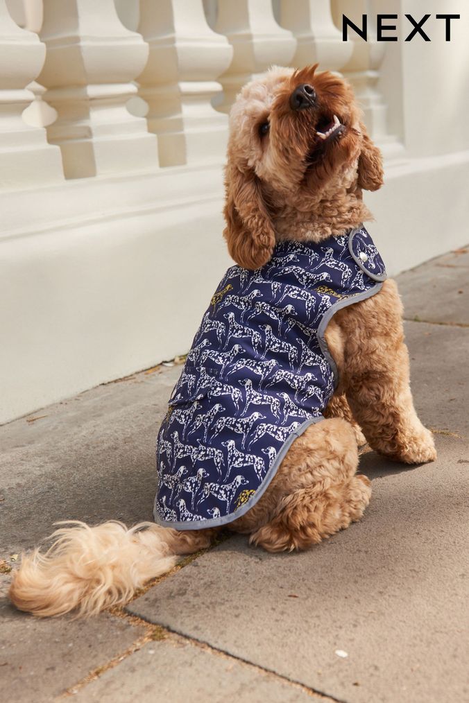 Buy Older Boys Unisex Blue Pet Coats Online Next UK