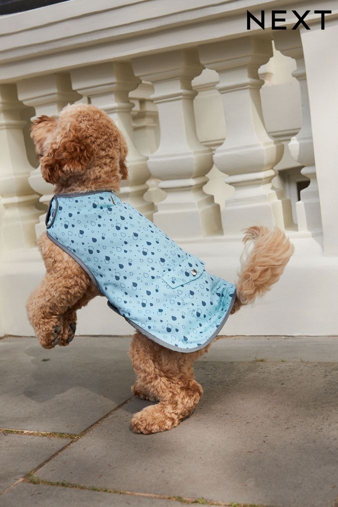 Dog sales coats next
