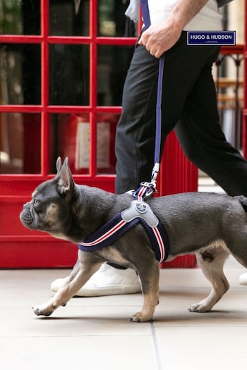 Hugo & Hudson Red Mesh Easy Dog Harness (A38301) | £30