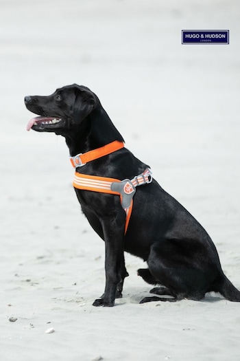Hugo & Hudson Orange Mesh Easy Dog Harness (A38303) | £30