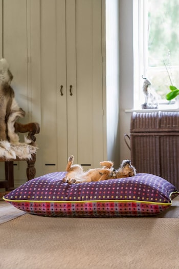 Lounging Hound Purple Pillow Bed in Mulberry Multispot Wool (A38344) | £140 - £260