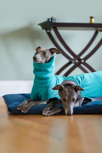Lounging Hound Blue Travel Bed Roll in Teal Plush Velvet (A38345) | £70 - £115
