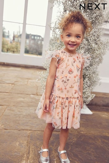 Champagne Sequin Embellished Mesh Party Dress (3mths-7yrs) (A45108) | £18 - £22