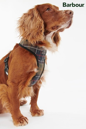 Barbour® Multi Classic Tartan Dog Harness (A47509) | £28