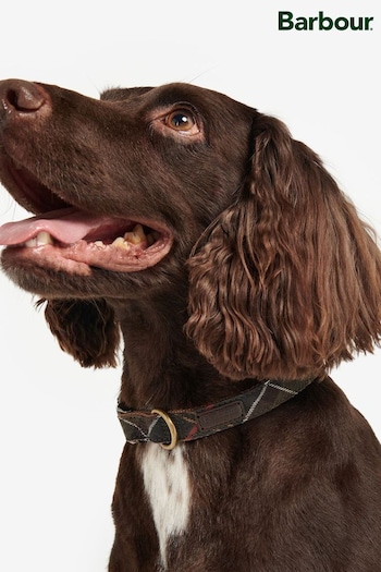 Barbour® Multi Classic Tartan Webbing Dog Collar (A47511) | £25