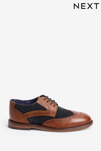 Tan Brown/Navy Blue Standard Fit (F) Leather Brogues (A61519) | £32 - £40