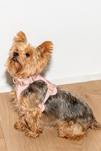 Wild One Pink Pink Harness (A64536) | £50