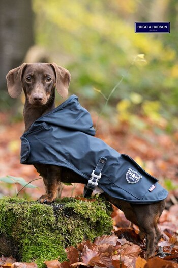 Blue Hugo & Hudson Rain Dog Coat (A66337) | £35