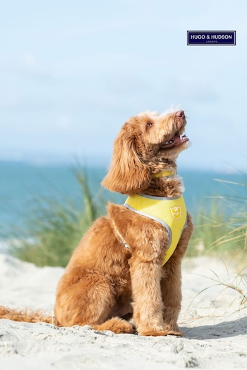 Hugo & Hudson Yellow Mesh Dog Harness (A66713) | £25