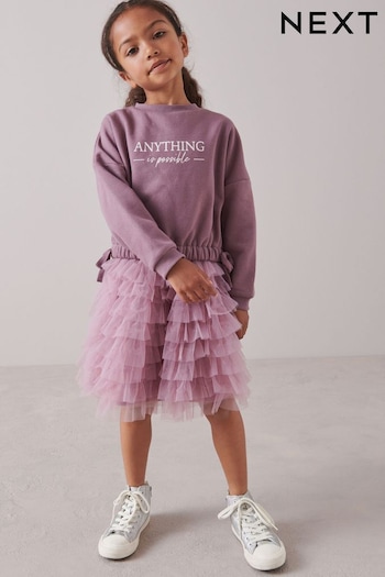 Pink Lilac Sweatshirt Top and Tulle Skirt Set (3-16yrs) (A67408) | £26 - £32
