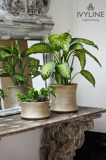 Ivyline Gold Garden Large Luxe Plant Pot (A75941) | £50