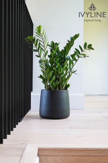 Ivyline Black Garden Large Akemi Planter (A75947) | £45