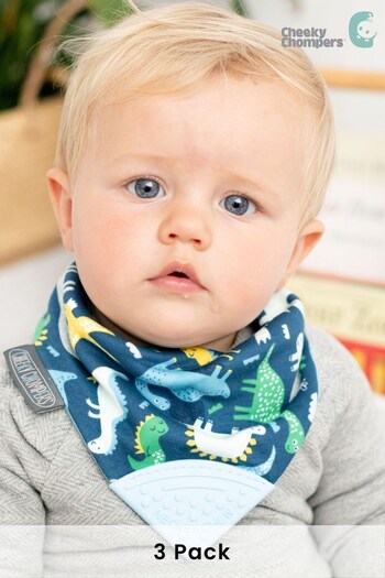 Cheeky Chompers Teething Dribble Baby Bibs 3 Pack (A83144) | £32
