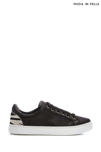Moda In Pelle Anatoli Trainers With Ciruclar Cut Out Detail Around Lace Holes (A86962) | £99