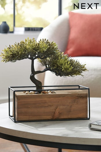Bronx Bronx Artificial Bonsai Tree Plant In Wooden Pot (A90061) | £25
