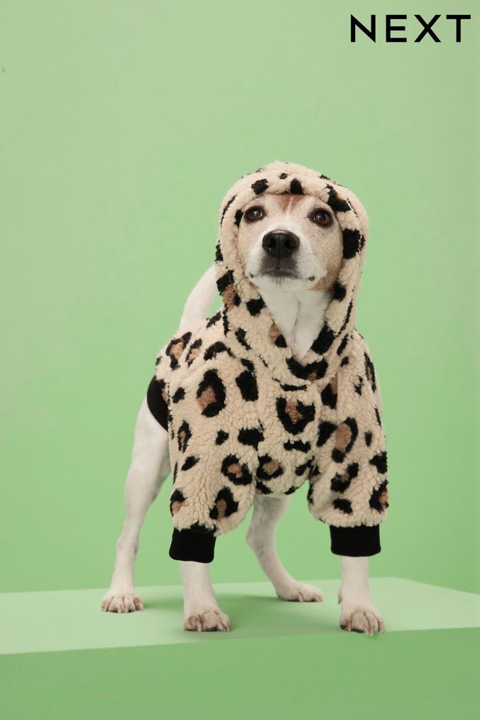 Dog jumpers next 2025