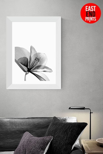 East End Prints White Amaryllis By Honeymoon Hotel (A96012) | £42 - £110