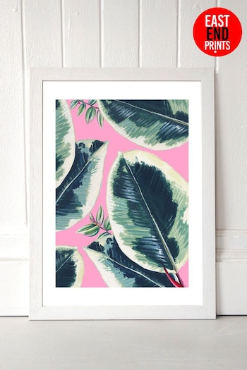 East End Prints Green Rubber Plant Print by Rocket 68 (A96063) | £42 - £110