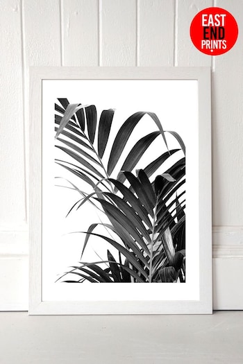 East End Prints Grey Palm Leaf 02 Print by Honeymoon Hotel (A96066) | £42 - £110