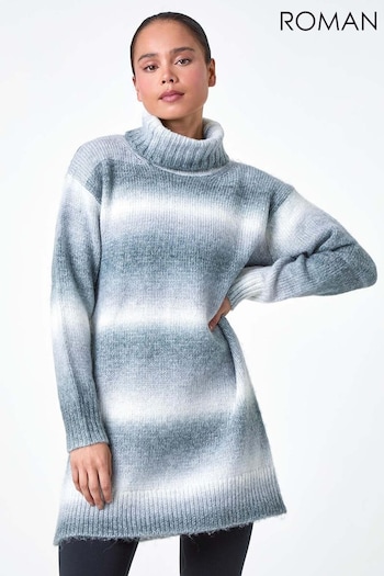 Roman Grey Petite Space Dye Roll Neck Longline Jumper (AB7906) | £40