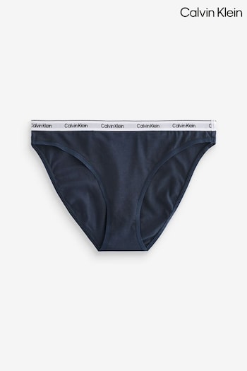 Calvin Klein Blue Modern Logo Underwear Bikini Briefs (AC8884) | £14