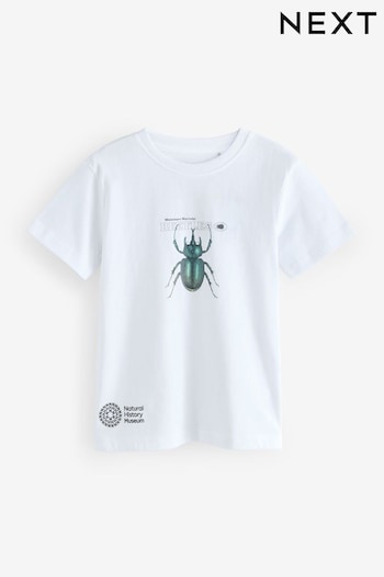 White Beetles Natural History Museum Short Sleeve 100% Cotton T-Shirt (3-16yrs) (AD1730) | £15 - £18